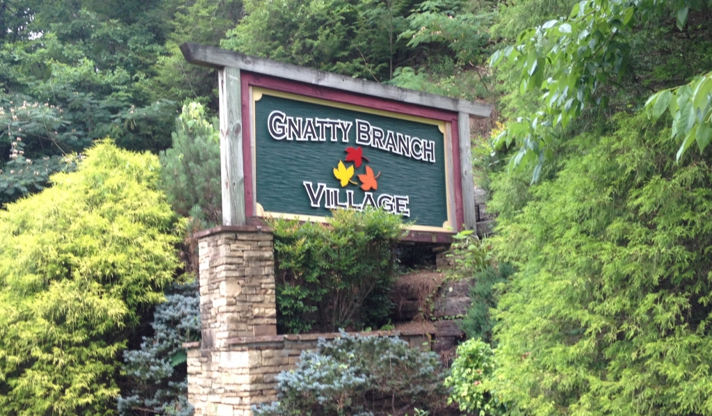 Gnatty Branch Village